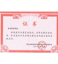 河北省商業(yè)聯(lián)合會洗滌業(yè)委員會副主任-洗滌機(jī)械